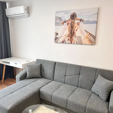 Apartment New Modern & Cozy With Free Private Parking And Ev Charging Station *
